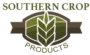 My blog Logo